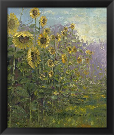 Framed Sunflowers Sunrise Print