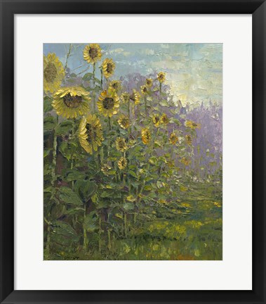 Framed Sunflowers Sunrise Print