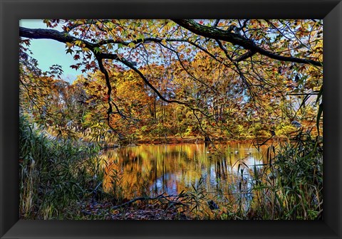 Framed Clove Lakes Park in Autumn A Print