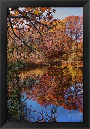 Framed Clove Lakes Park in Autumn B Print