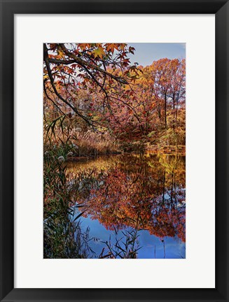 Framed Clove Lakes Park in Autumn B Print