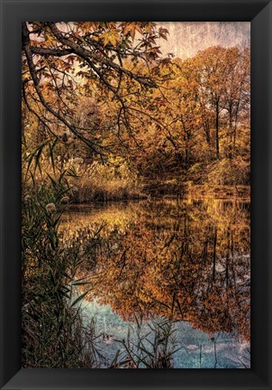 Framed Clove Lakes Park in Autumn C Print