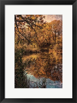 Framed Clove Lakes Park in Autumn C Print