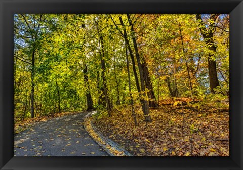 Framed Clove Lakes Park in Autumn D Print