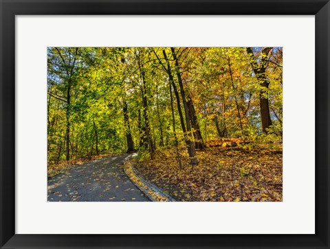 Framed Clove Lakes Park in Autumn D Print