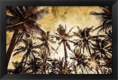 Framed Coconut Palms Print