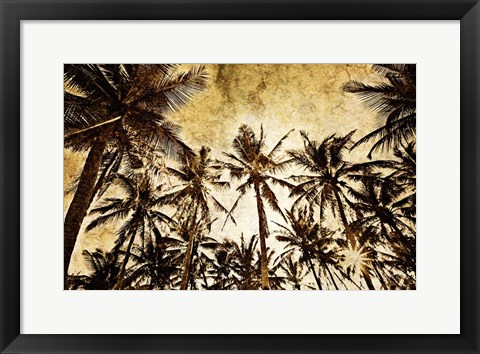 Framed Coconut Palms Print