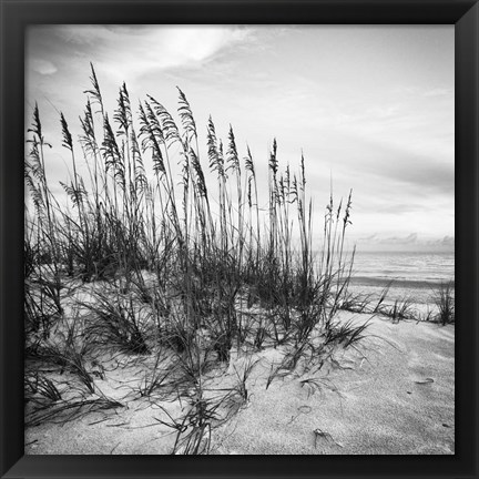 Framed Sea Oats Print