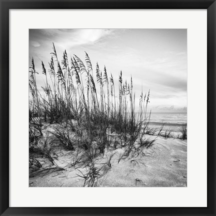 Framed Sea Oats Print