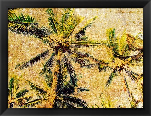 Framed Palms 1 Print