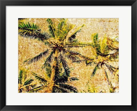 Framed Palms 1 Print