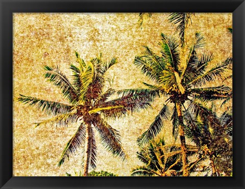 Framed Palms 2 Print