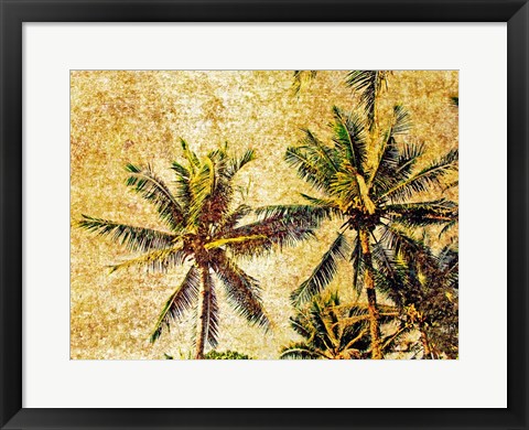 Framed Palms 2 Print