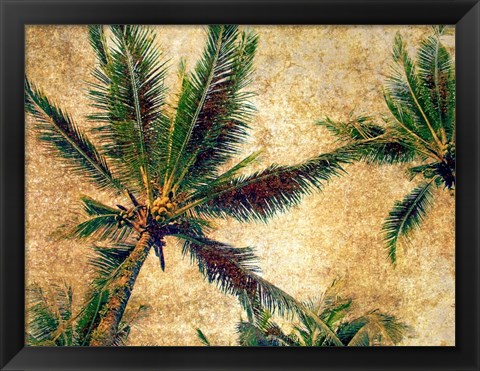 Framed Palms 3 Print