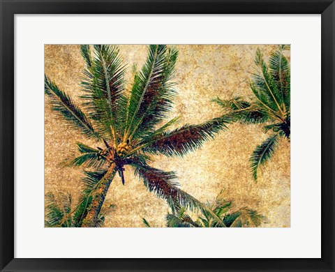 Framed Palms 3 Print