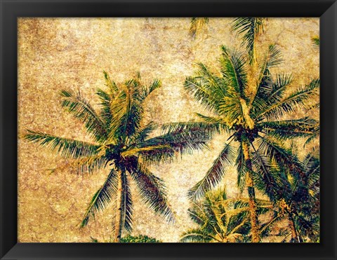 Framed Palms 4 Print