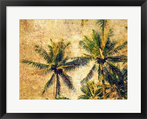 Framed Palms 4 Print