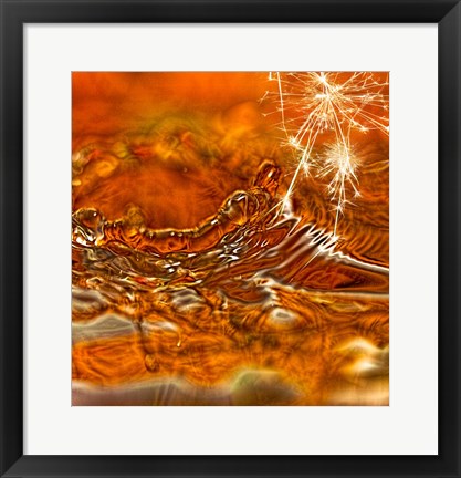 Framed Spark Of Honey Print