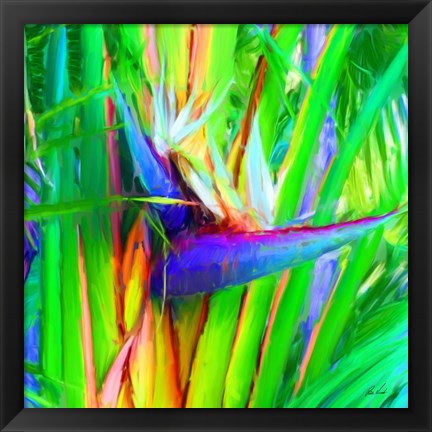 Framed Bird of Paradise 1 Print