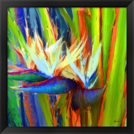 Framed Bird of Paradise 2 Print