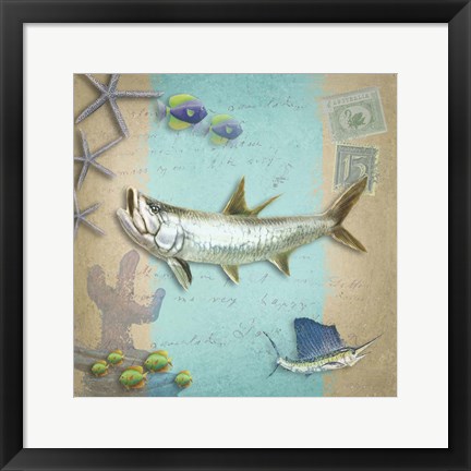 Framed Sealife 3 Print