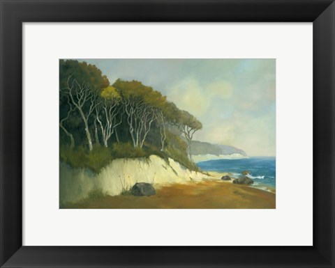 Framed Northern Shore II Print