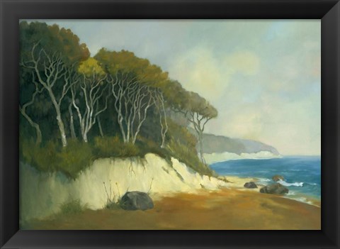 Framed Northern Shore II Print