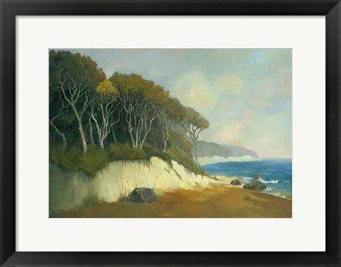 Framed Northern Shore II Print