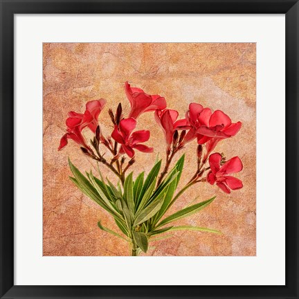 Framed Fantasy in Red II Print