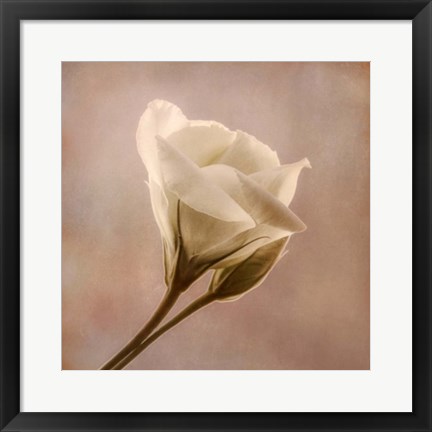 Framed Flowering Into Light B Print