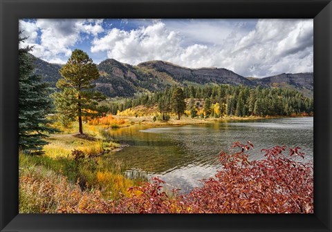 Framed Illuminating Autumn Print