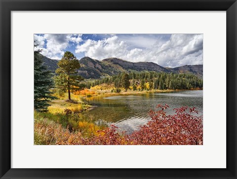 Framed Illuminating Autumn Print