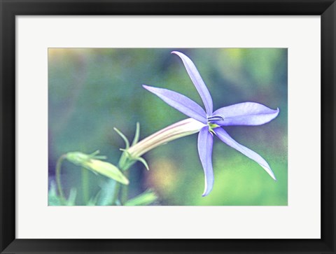 Framed Color of Summer I Print