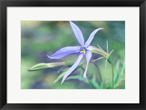 Framed Color of Summer II Print