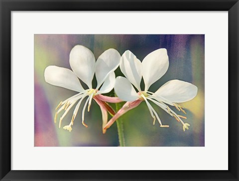 Framed Floral Palette I Print