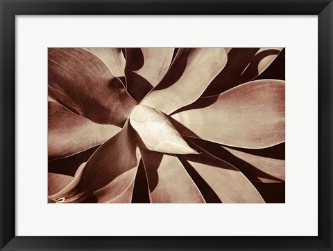 Framed New Growth B Print