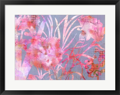 Framed Carnation Creation G Print