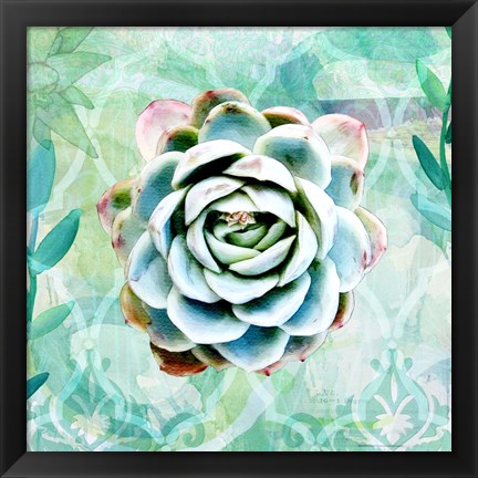 Framed Desert Rose Garden Print