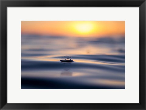 Framed Float Away Print