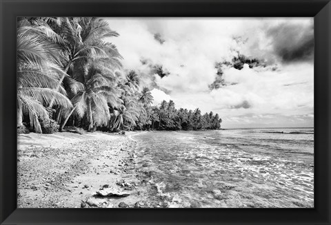 Framed Tropical Beach D Print