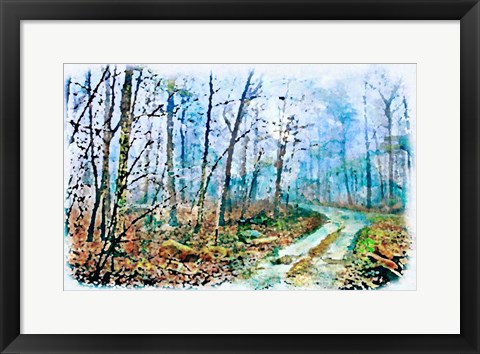 Framed Jungle Journey The Road? Print