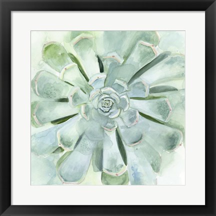 Framed Verdant Succulent IV Print