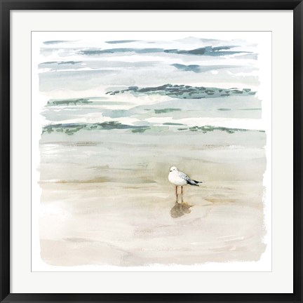 Framed Seagull Cove II Print