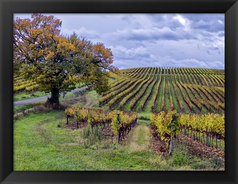 Framed Pastoral Countryside I Print