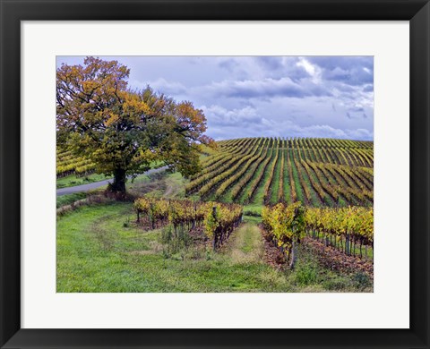 Framed Pastoral Countryside I Print