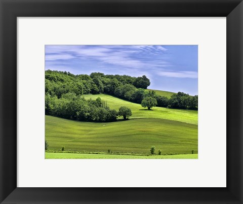 Framed Pastoral Countryside II Print