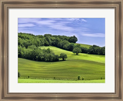 Framed Pastoral Countryside II Print