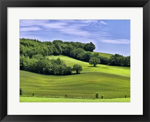 Framed Pastoral Countryside II Print