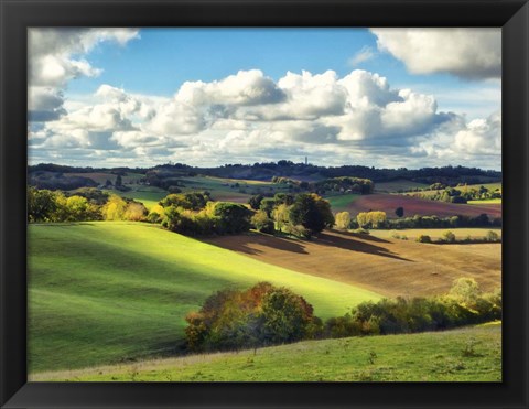 Framed Pastoral Countryside III Print