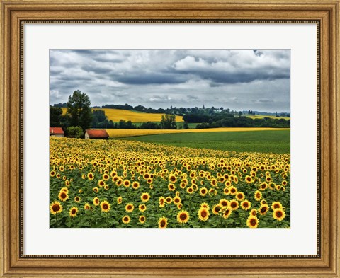 Framed Pastoral Countryside IV Print